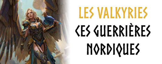 Valkyries Les Femmes Guerrières Nordiques