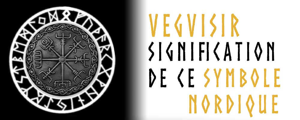 Vegvisir Tattoo Schulter