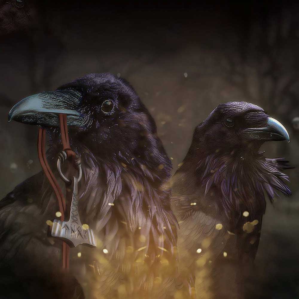 Hugin & Munin