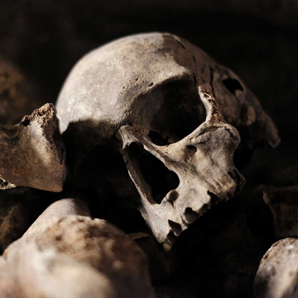 Tête de mort