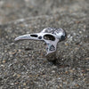 Vegvisir Raven Viking Ring