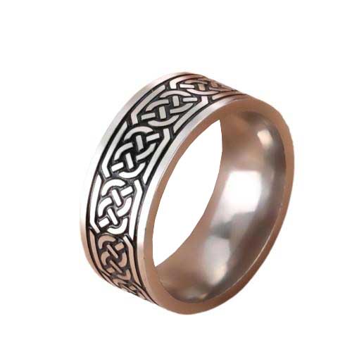 Bifrost Wikingerring