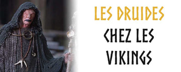 Les Druides chez les Vikings