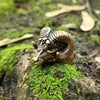 Thor's Goat Viking Ring